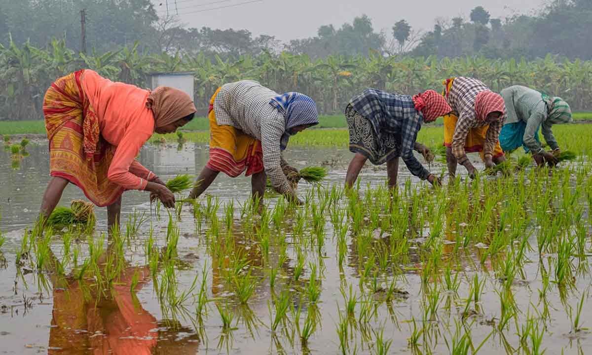 Govt Raises Farm Credit Target To 20 Lakh Crore For FY24