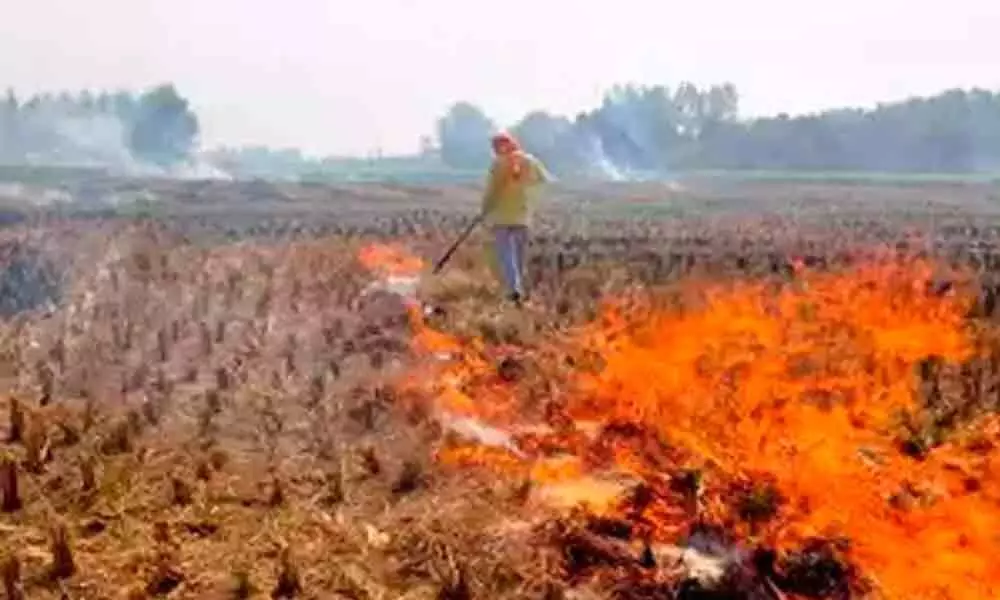 Burning of crop stubbles turning Delhis air pollution from low to severe