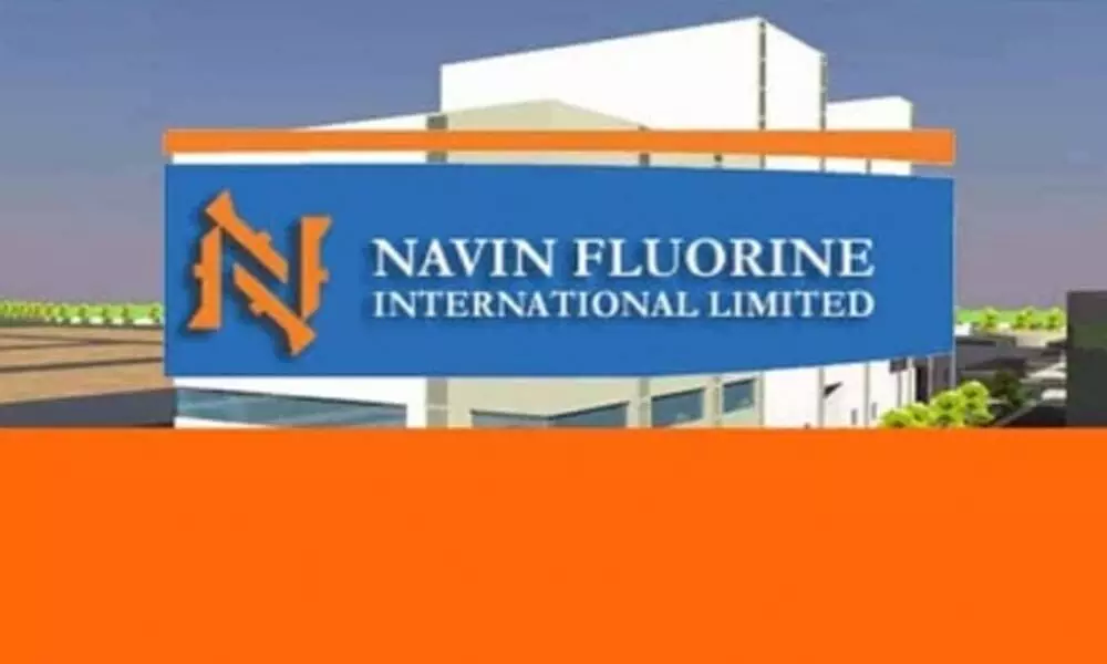 Navin Fluorine International Limited