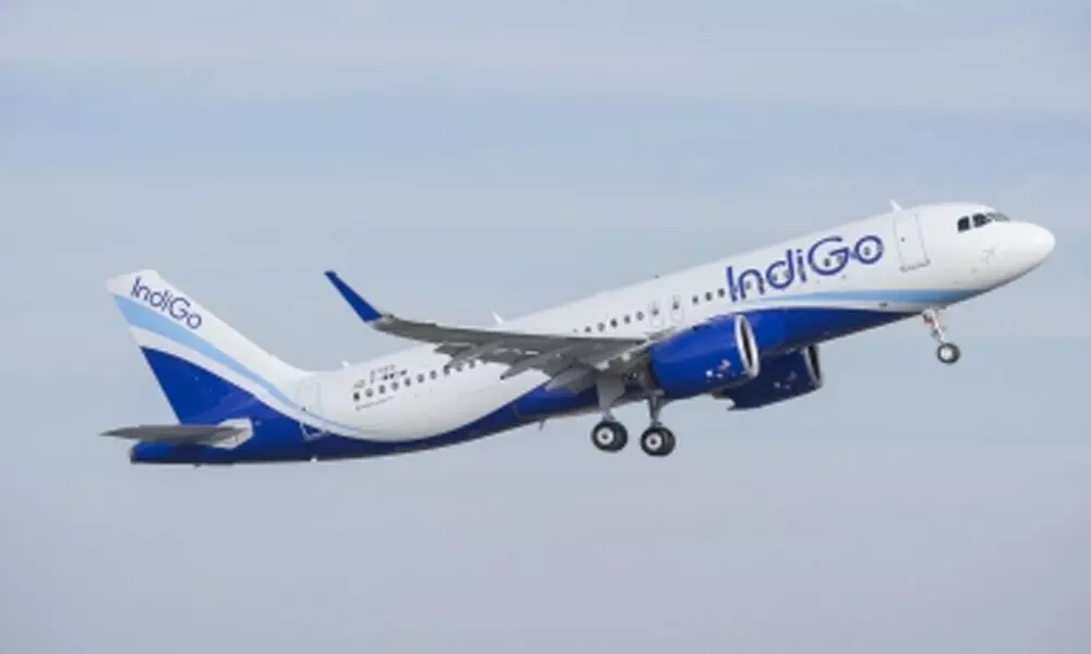 Cab services across60 cities: Indigo partners with car rental company Urban Drive