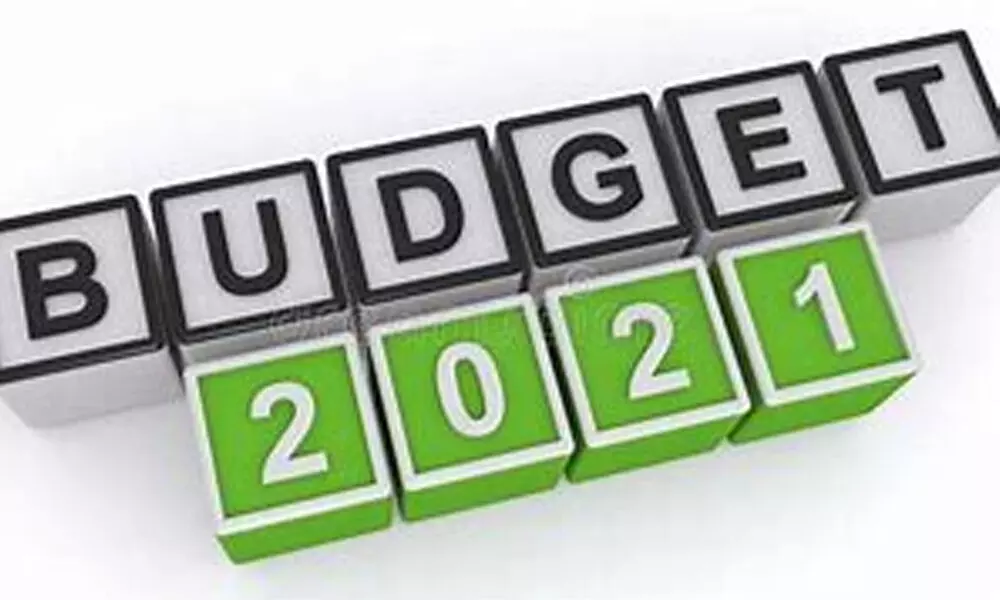 Budget 2021: Government focus on revolutionizing corporate tax framework