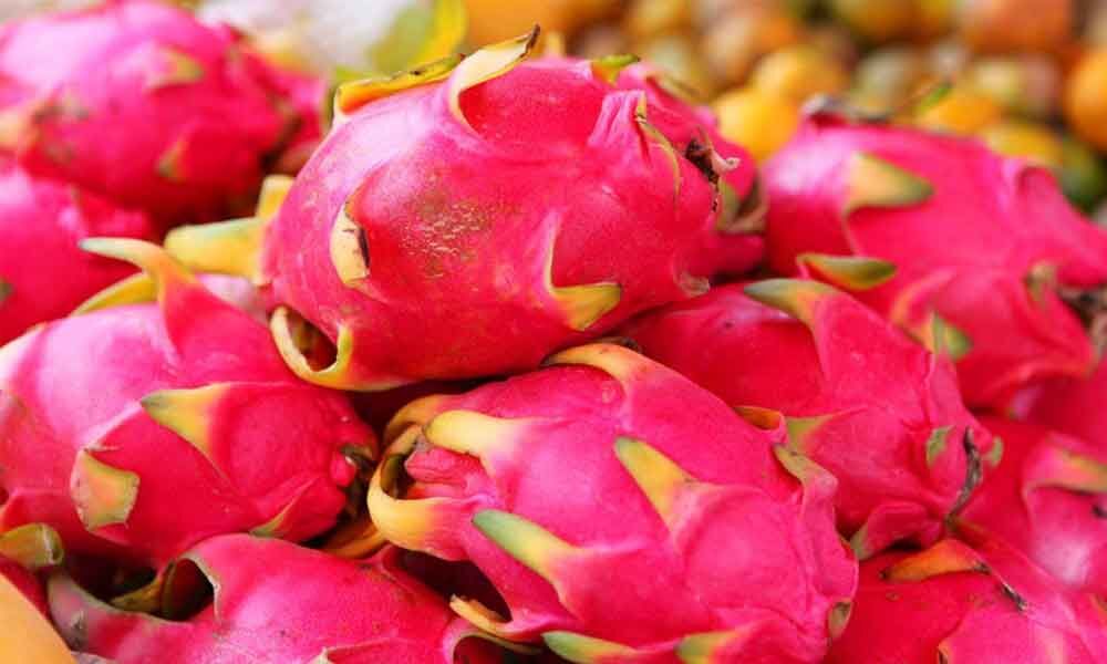 Gujarat decides to rename dragon fruit as 'Kamalam'