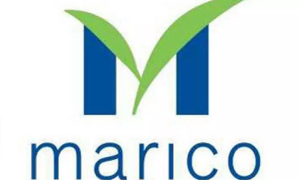 Marico Ltd Q3 net profit rises 13% to Rs 312 cr