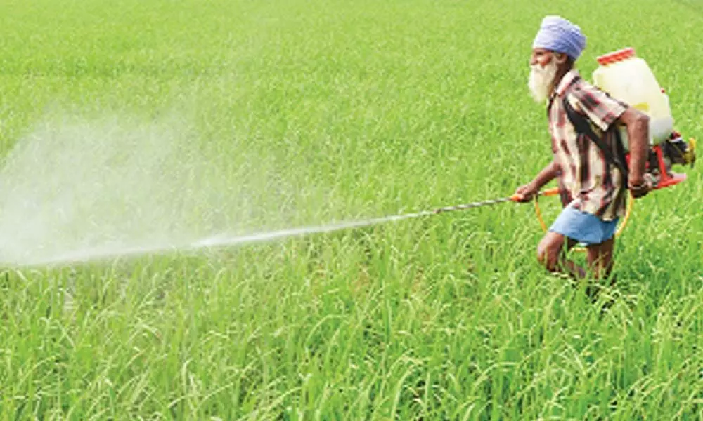 India Pesticides files for Rs. 800 cr IPO