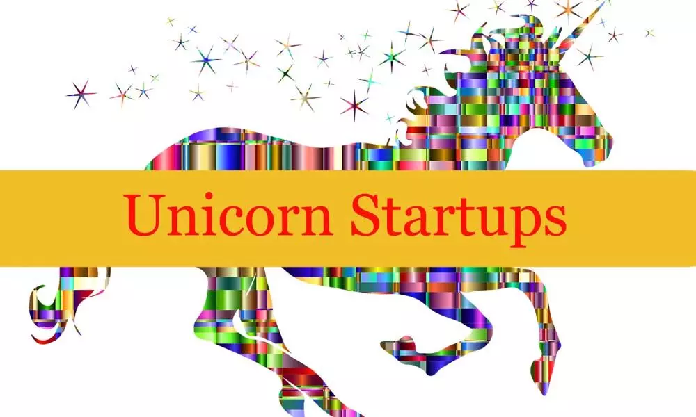 Capital, strategy key for creating unicorns