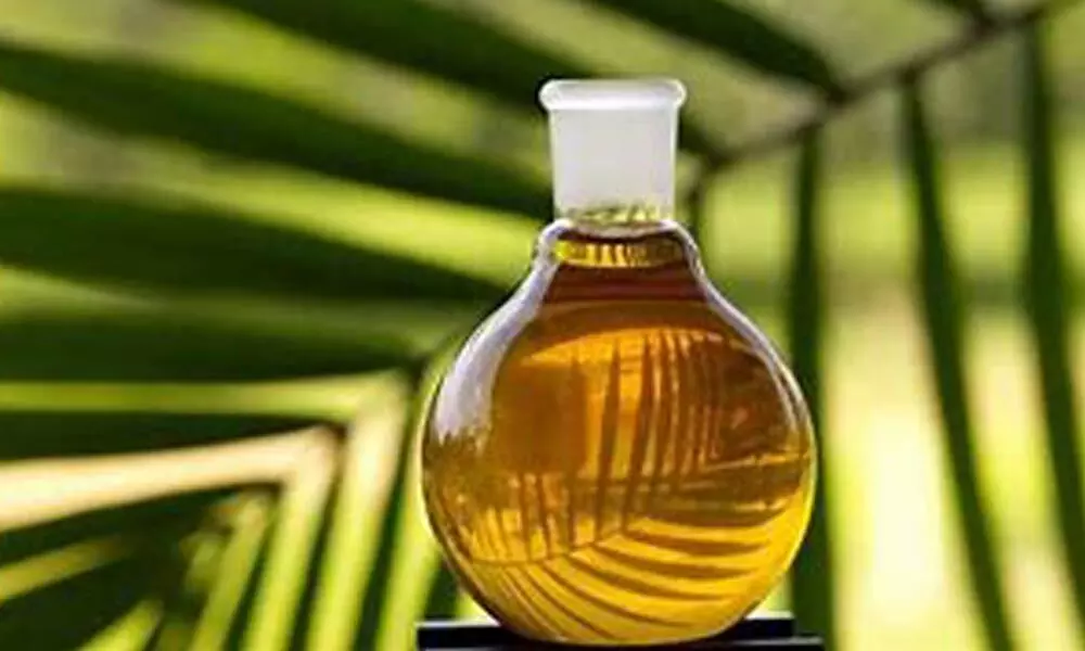 Sri Lanka govt bans palm oil imports