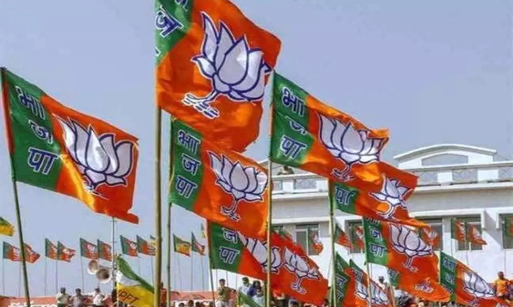 BJP ministers to act on feedback about Assembly polls