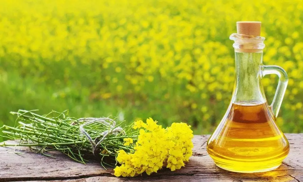 Mustard oil is fav oil to stay fit