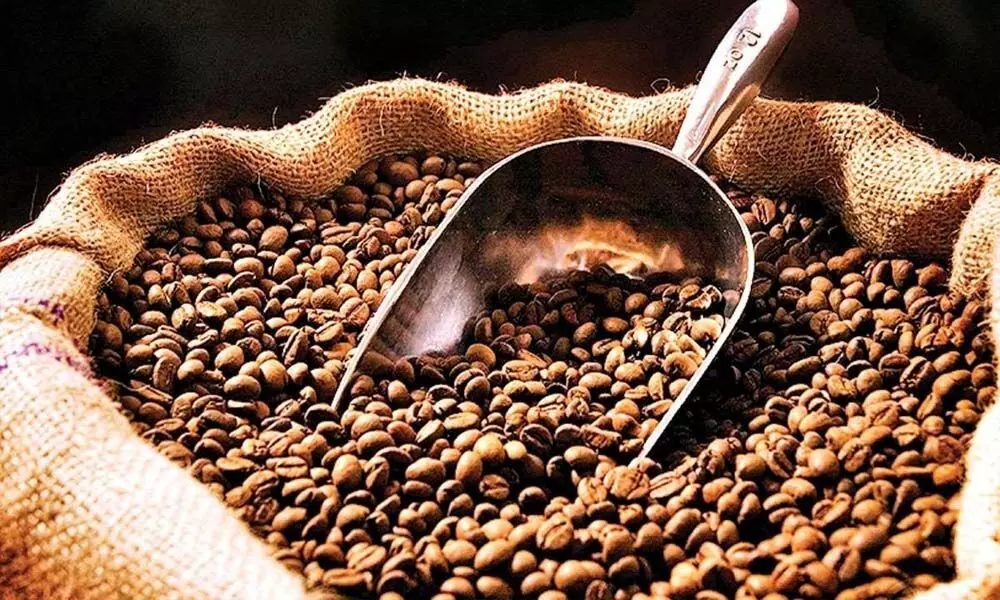 TS sees 54% rise in coffee exports: Report