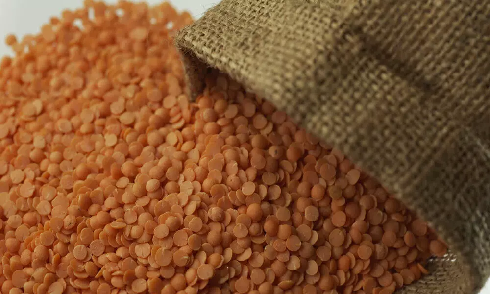 Import duty on masur dal cut to zero