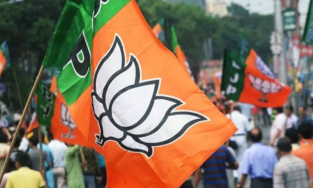 TN BJP gears up for local body polls