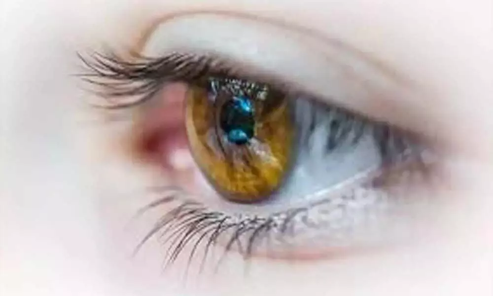 Biomarkers in eyes may help manage diabetes: Study