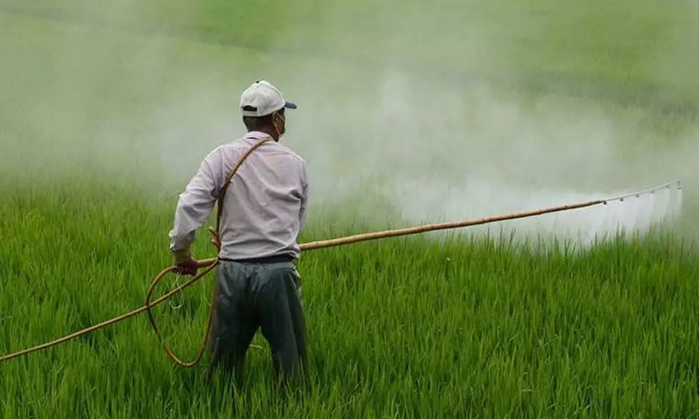 Fertiliser sales picking up