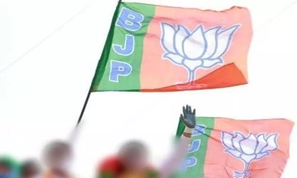 BJP to deploy a senior leader in each segment