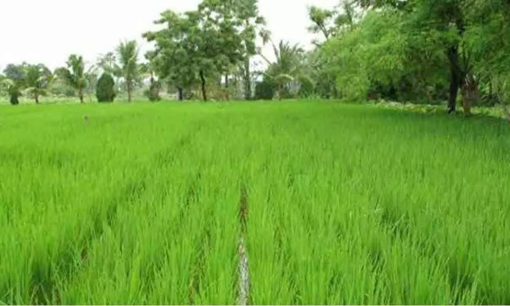 Telangana seeks innovations in farming