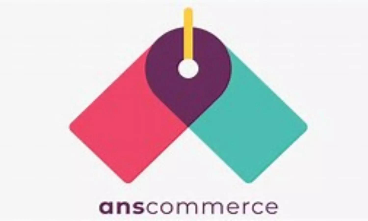 ANS Commerce eying Rs 500 cr GMV in next year; plans to onboard 50+ D2C brands