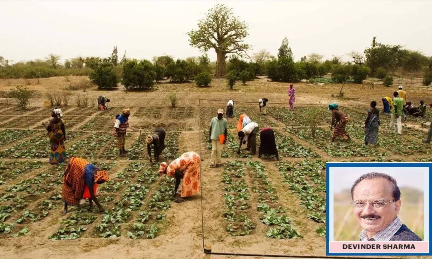 Making Farming Viable Key To Pull Farmers Out Of Debt Trap