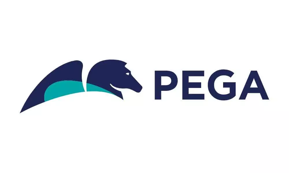 Pegasystems Inc