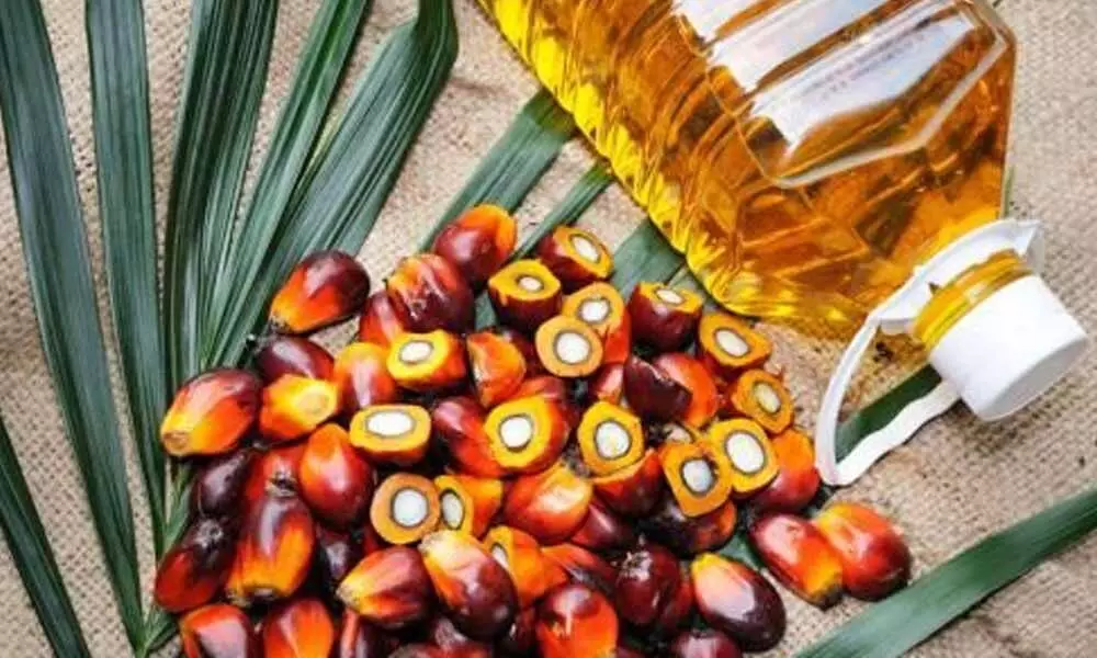 Assam, Arunachal Pradesh emerging palm oil hubs