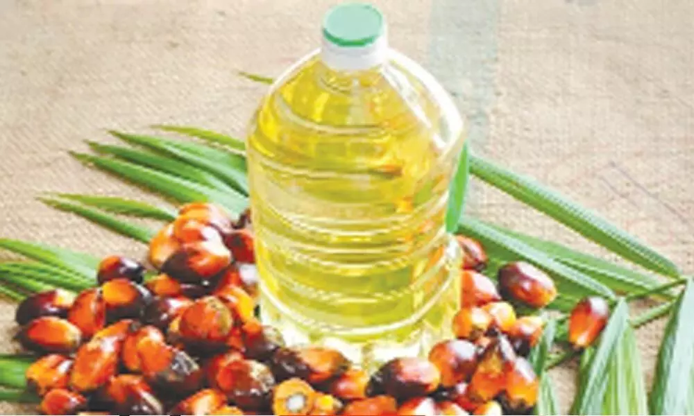 Edible oil imports flat, but value up 63% to Rs.1.17 L cr in FY21