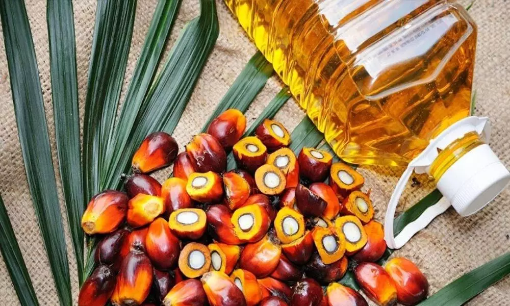 Indias palm oil imports skid 29% in December