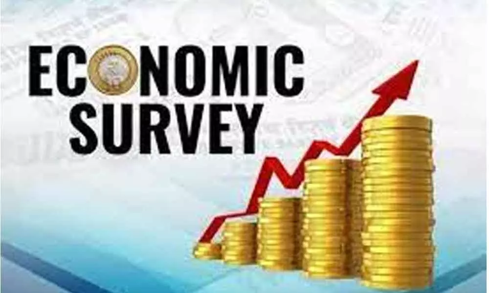 Economic Survey spurs robust recovery