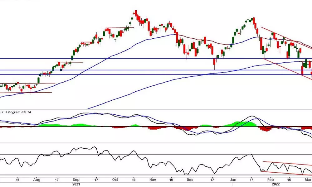 Nifty forms bearish belt hold candle