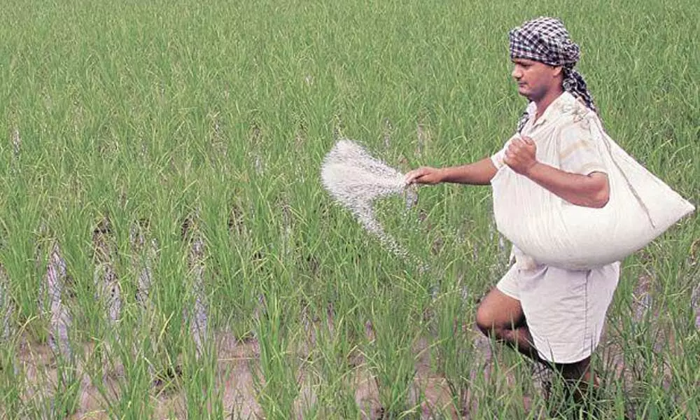 No proposal for merger of sick fertiliser units: Govt