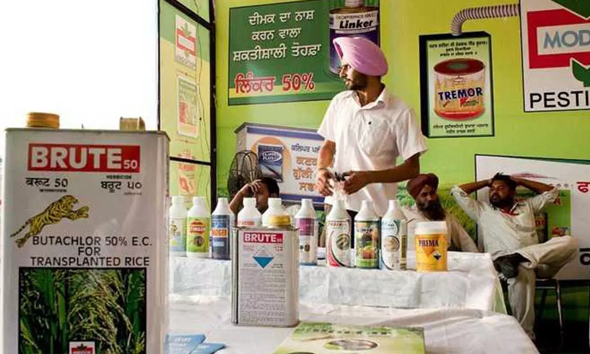 Centre firm on academic qualification for pesticide dealers