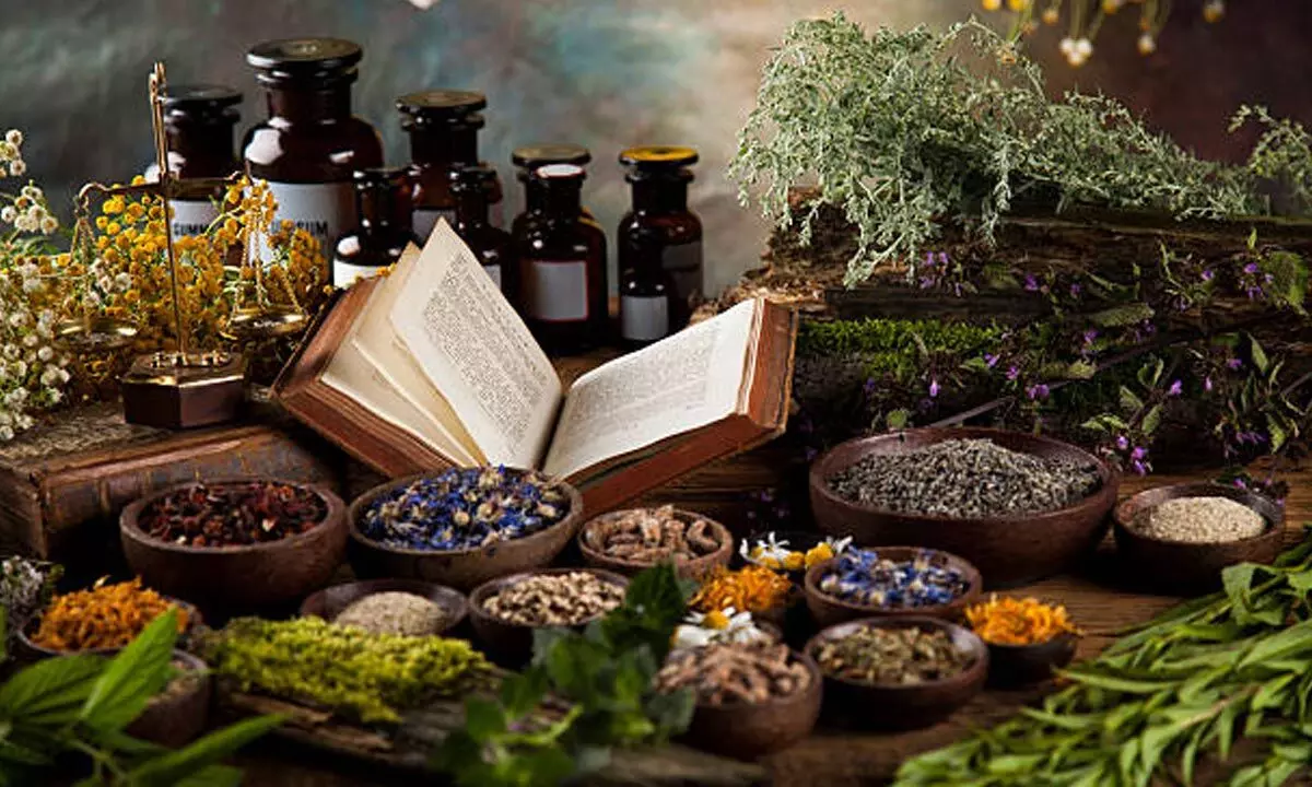 GCTM will prove to be a boon for traditional medicine industry