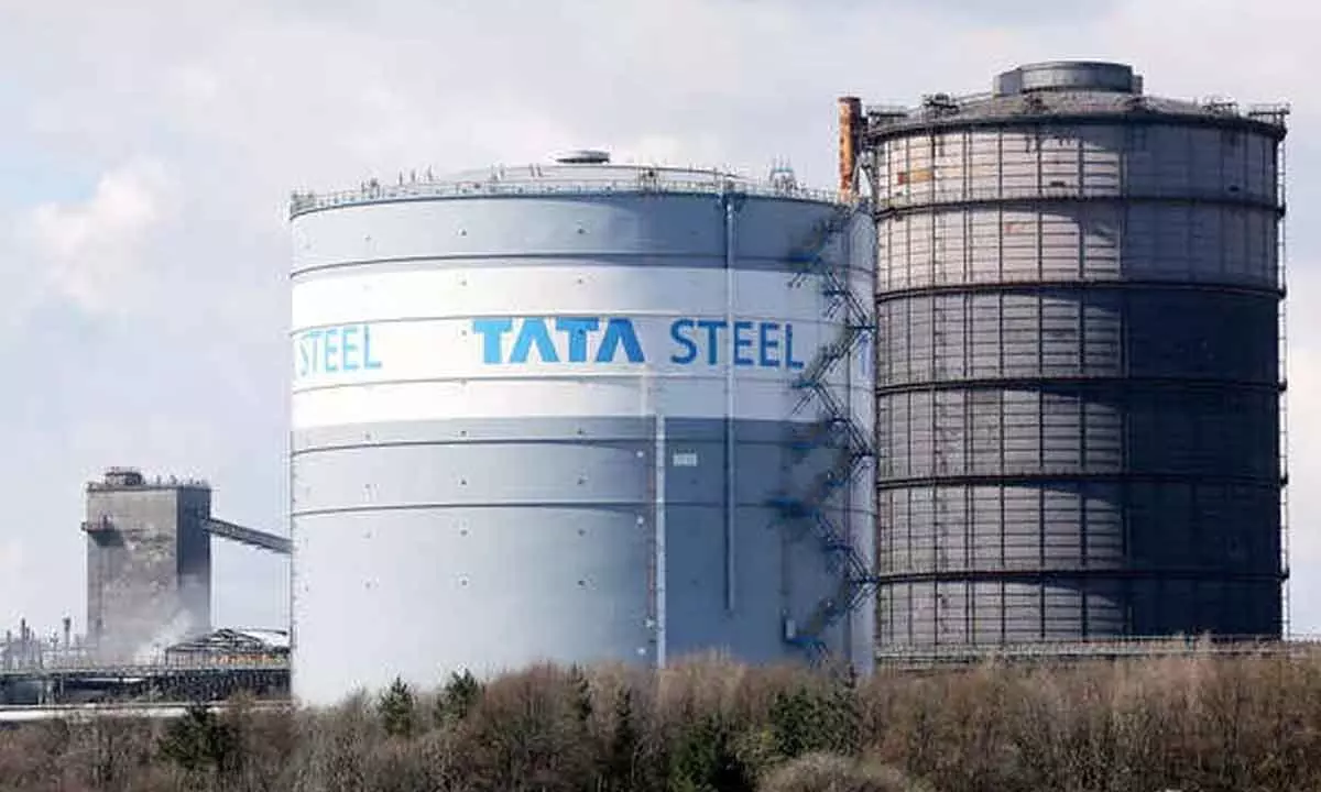 Tata Steel to grow organically, new acquisitions unlikely this decade: MD