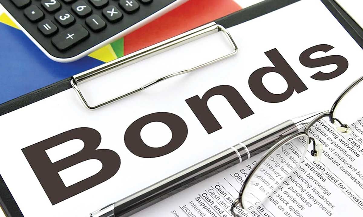 Govt bonds: Biggest bet in this rate hike cycle for individuals