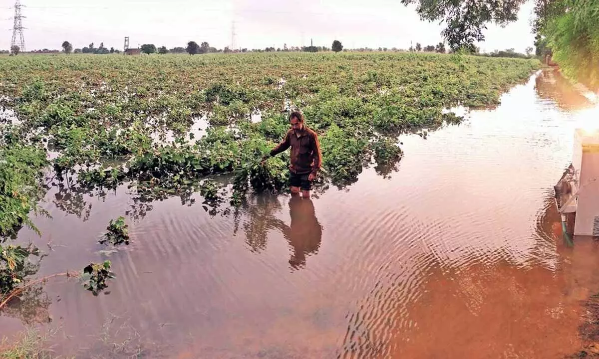 Unseasonal rains may play havoc, increase inflation