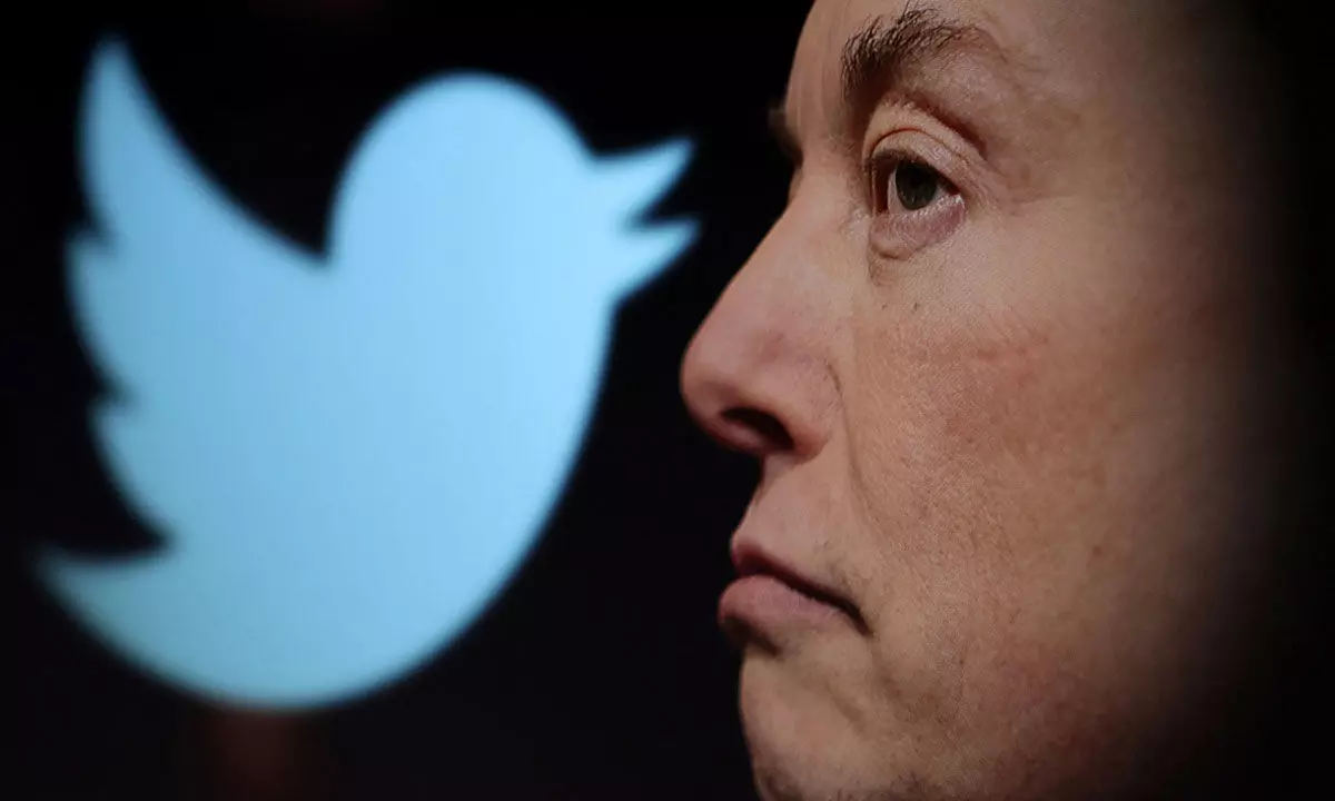 Twitters global market share grows by 55% as Musk takes over