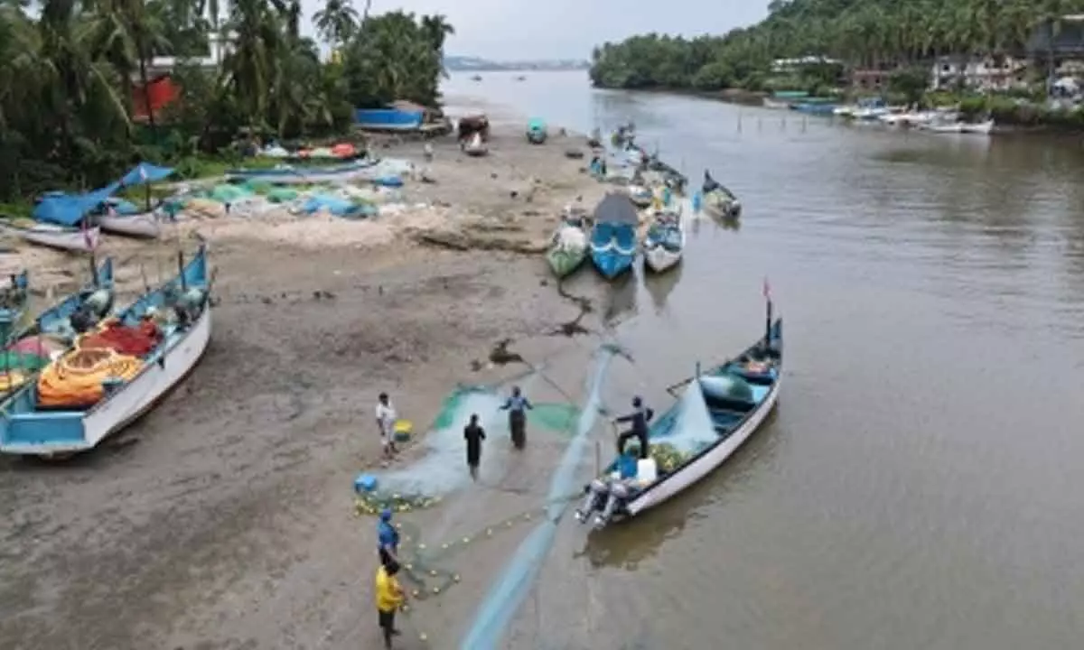 Goa pins hopes on sea cage farming to raise fish production