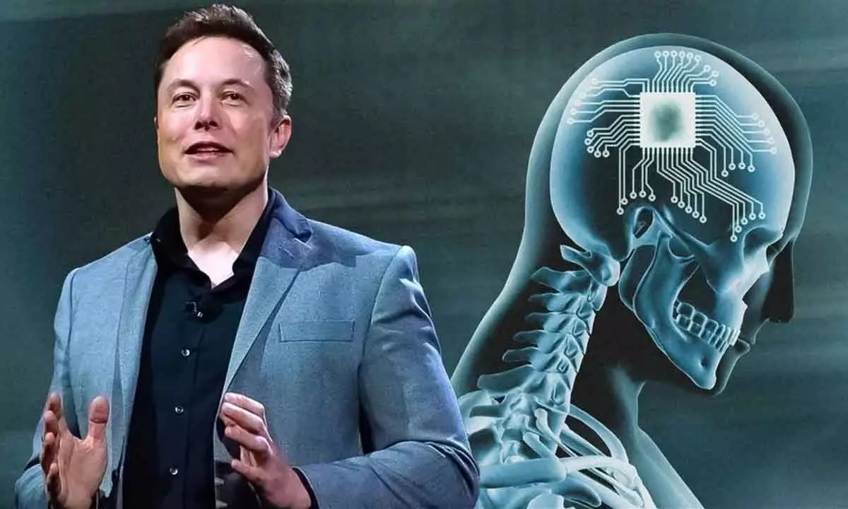 Neuralink human trial expected in 6 months: Musk