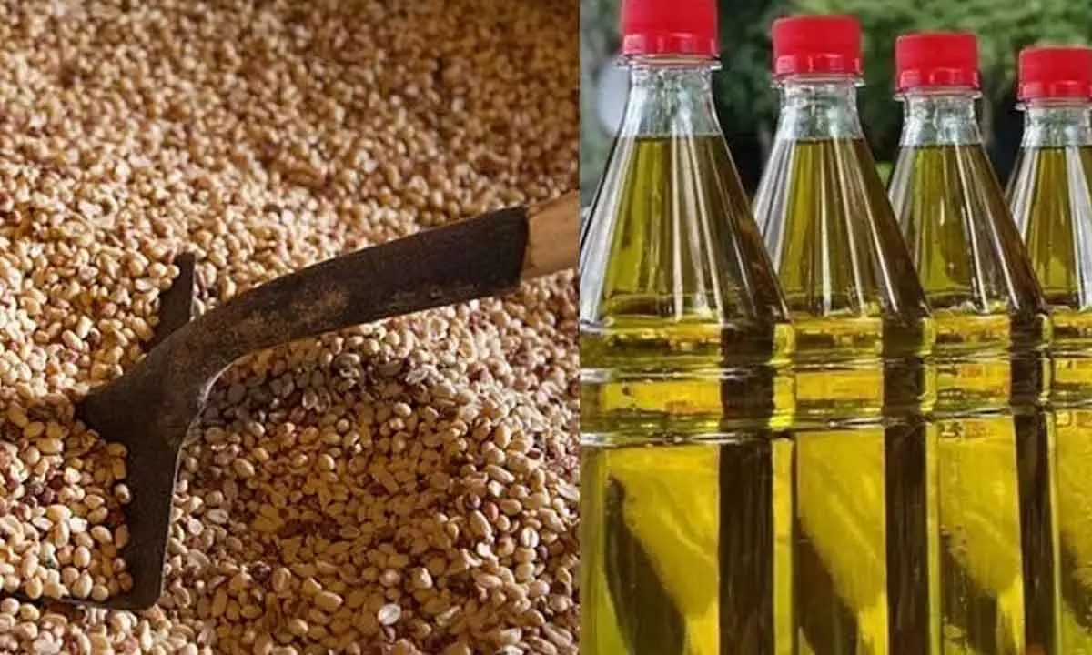 Groundnut oil bullish, but other edibles oil slip