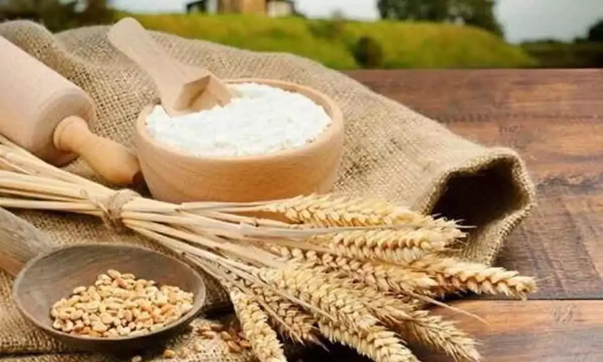 Govt cuts reserve price of FCI wheat to Rs 2,150/quintal