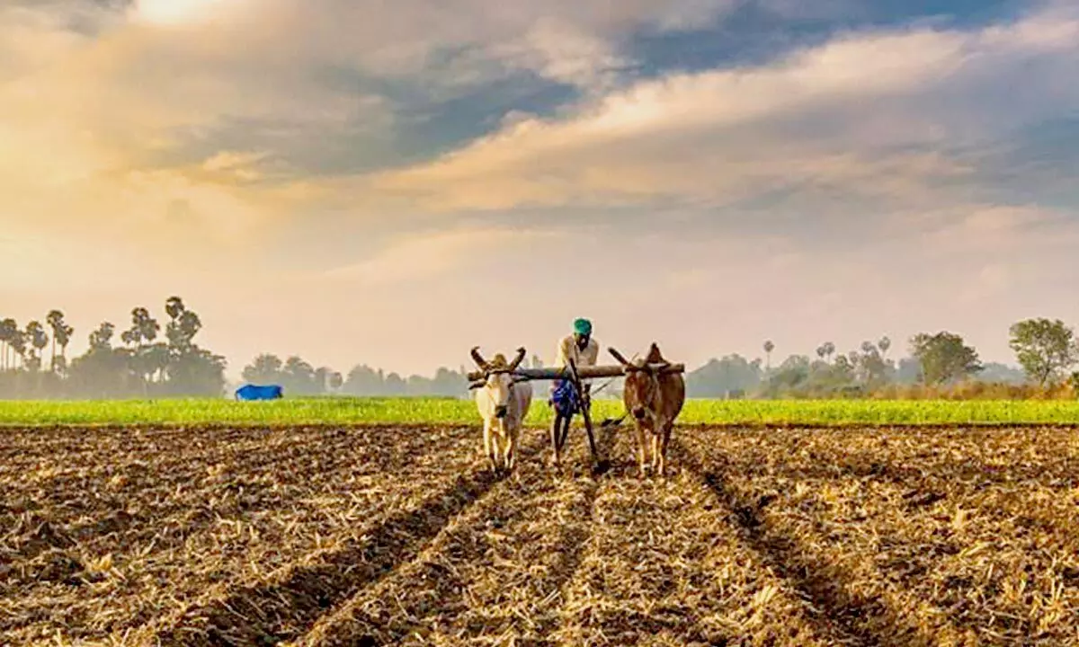 Tech-driven agri practices pose a bigger threat