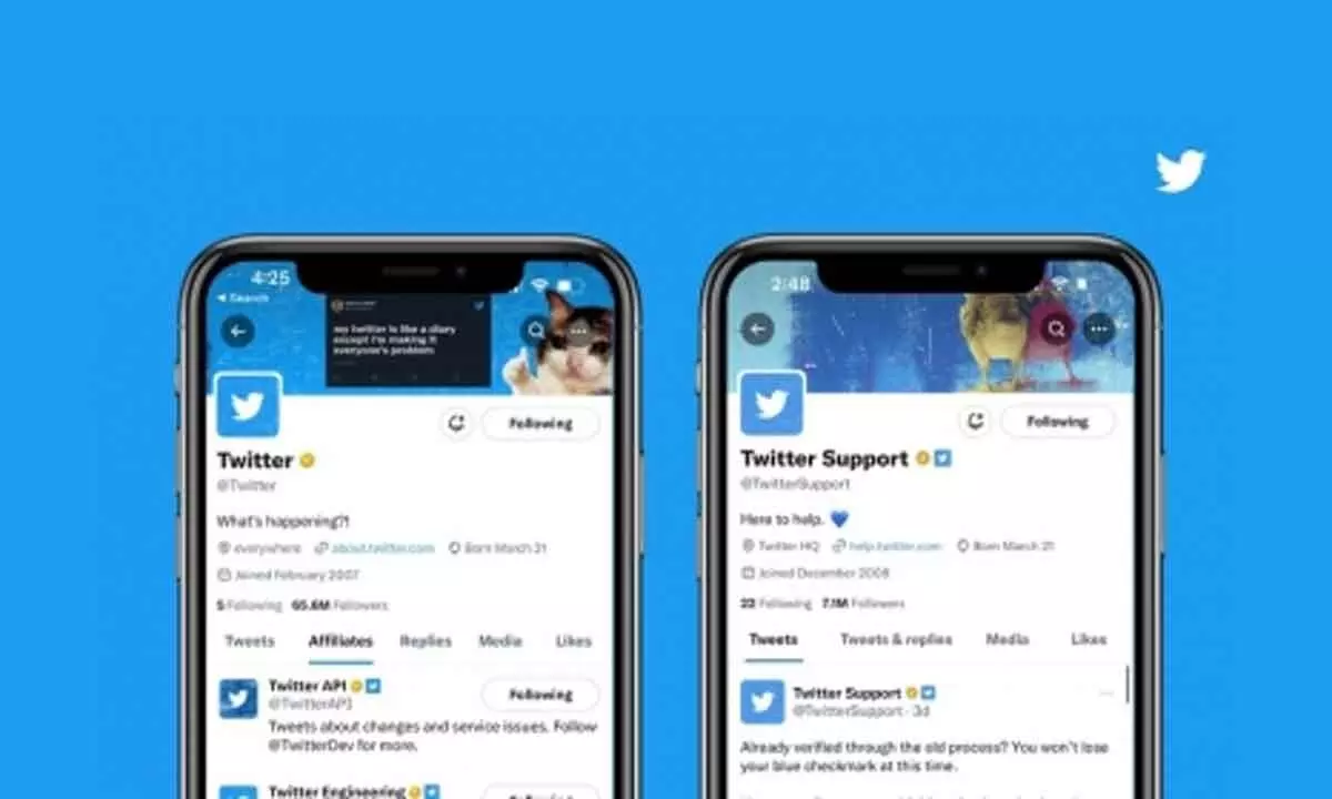 Twitter ‘Verification for Org’ now available globally