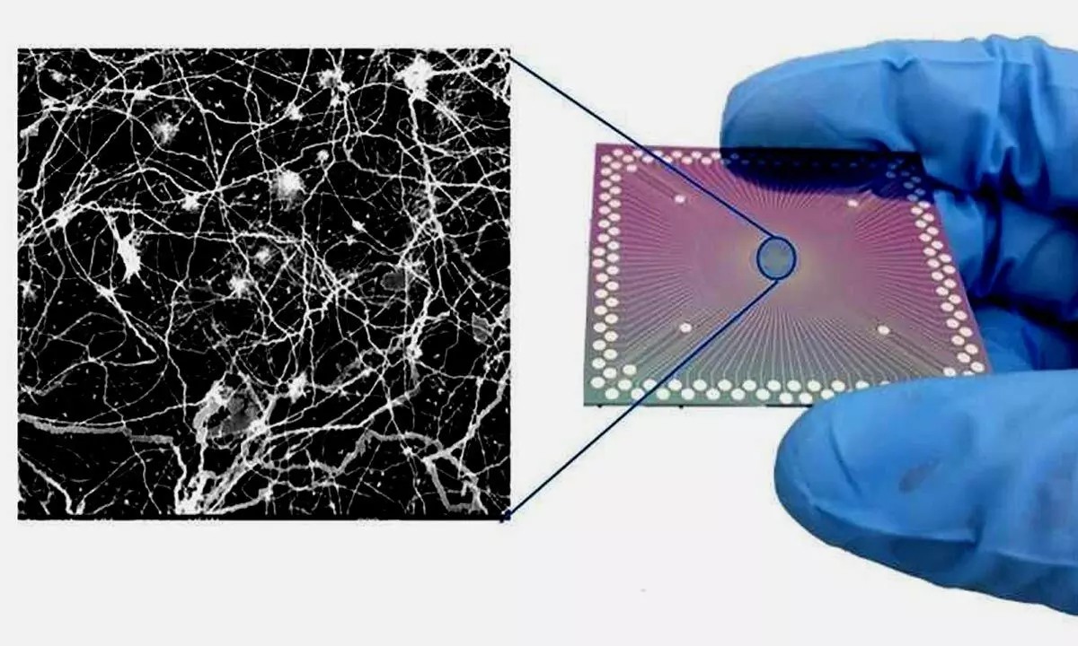 Networks of silver nanowires can learn, remember like human brain