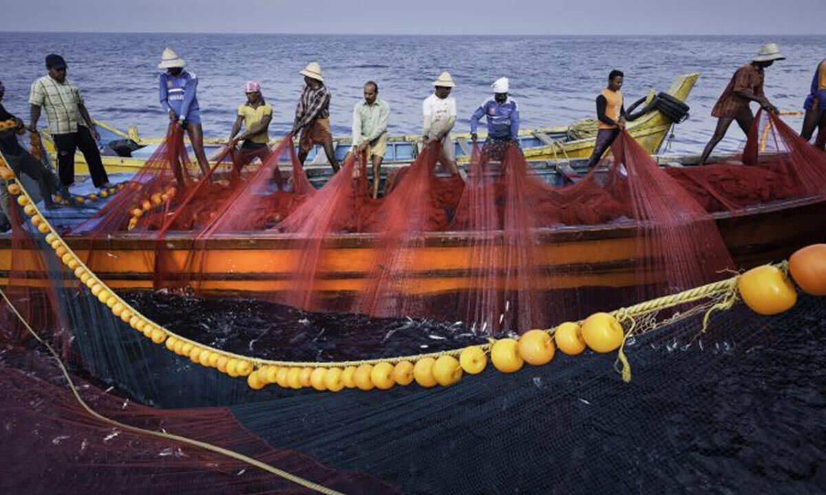 in-andhra-pradesh-fishing-turned-non-remunerative