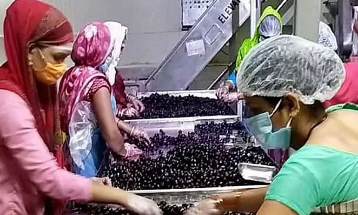 Women’s tryst with wine sparkles with changing times these days