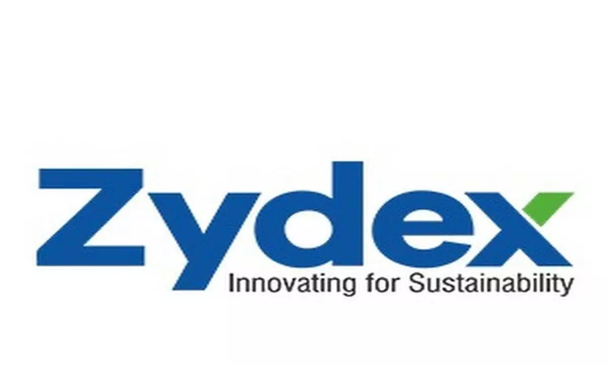 Zydex Industries leads the way to weather-resistant roads with innovative technologies