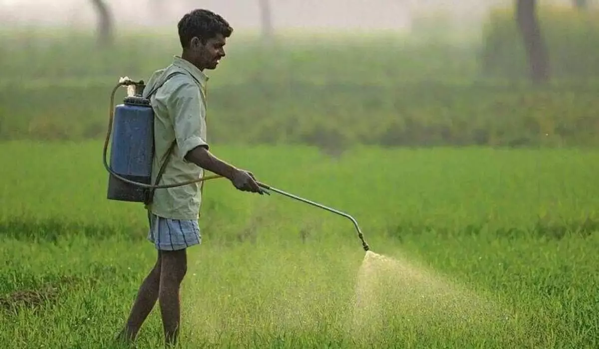 PM PRANAM set to cut fertiliser subsidy load by 50%