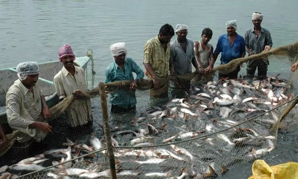 Pradhan Mantri Matsya Sampada Yojana for fishers projects