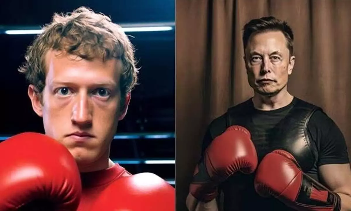 Mark Zuckerberg, Elon Musk