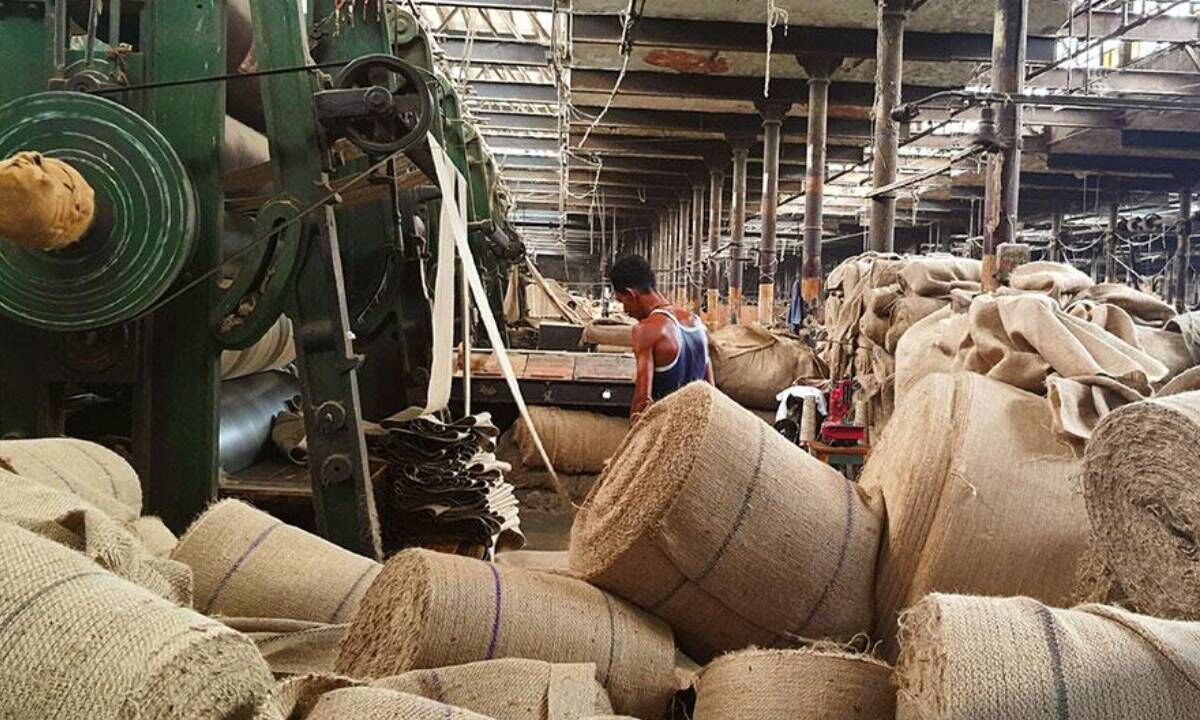 A New Msp Driven Era Beckons Indian Jute Industry