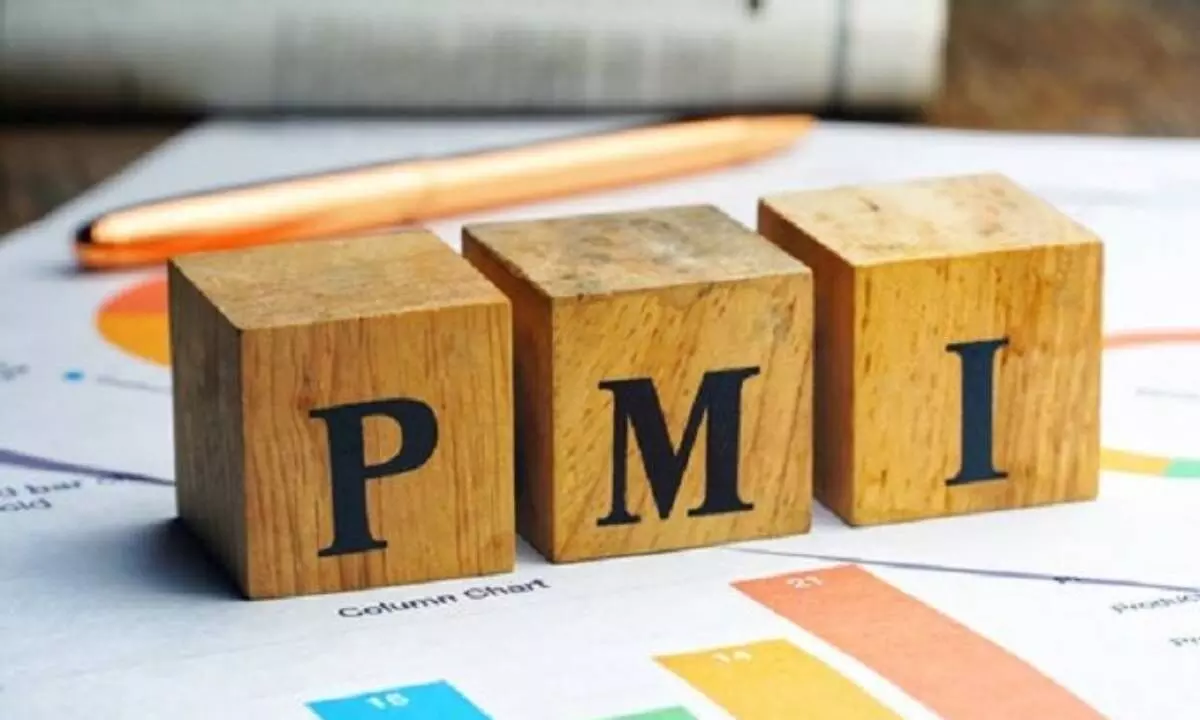 PMI Services falls slightly in May