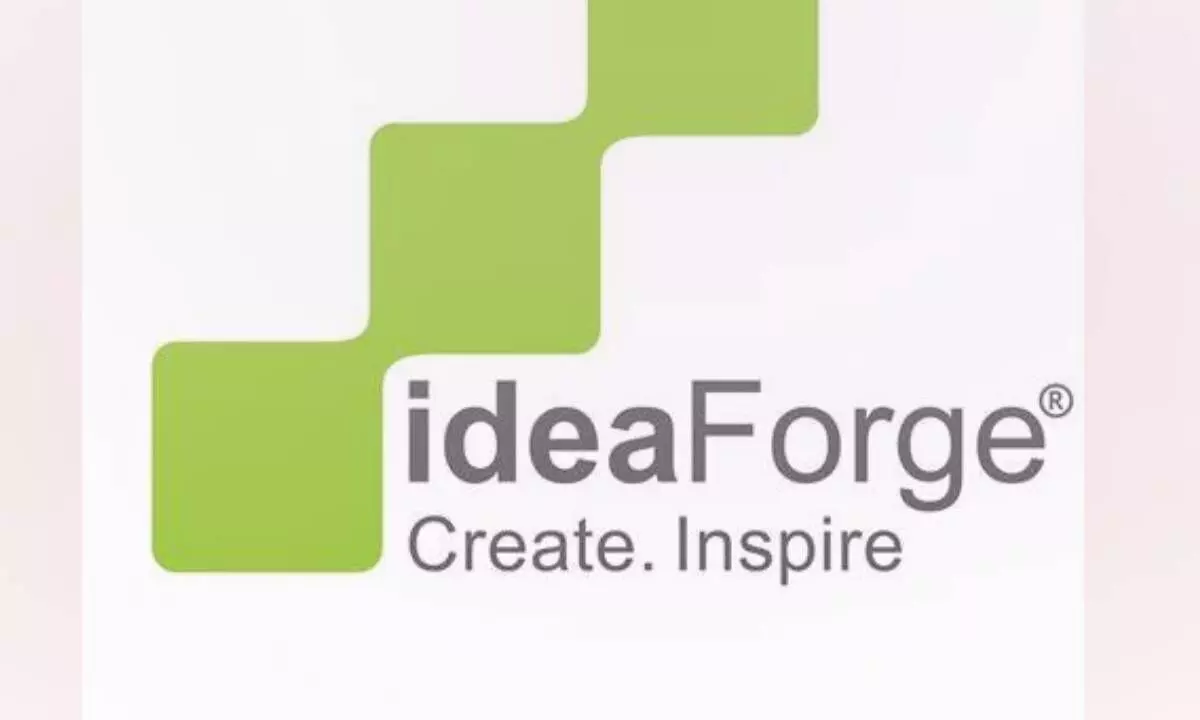 idea Forge shares settle lower on debut